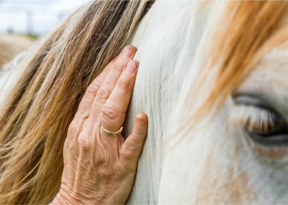 From equine to play: 10 nontraditional therapies